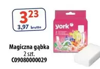 York - Magiczna gąbka