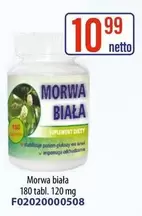 We - Morwa biała