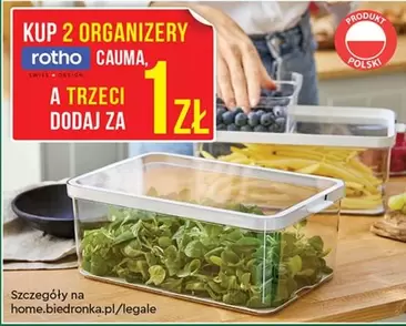 ORGANIZERY CAUMA