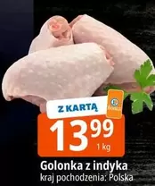 Golonka z indyka
