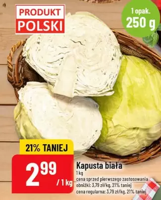 Kapusta biała
