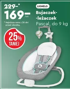 Bujaczek-leżaczek Pascal