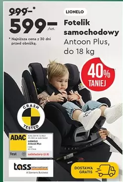 Plus - Fotelichodowy Antoon