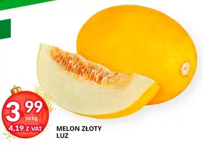 MELON ZŁOTY