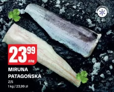 MIRUNA PATAGOŃSKA