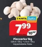 Pieczarka 1kg