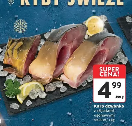 Karp dzwonko z częsciami ogonowymi