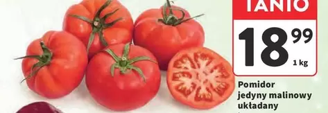 Pomidor jedyny malinowy ukladany