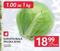 KAPUSTA BIAŁA POLSKA 20 KG