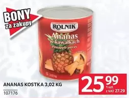 ANANAS KOSTKA 3,02 KG