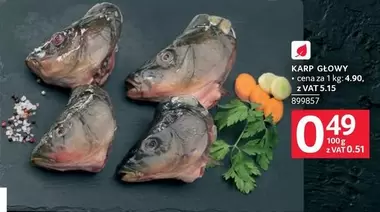 KARP GŁOWY