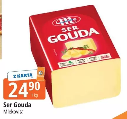 Ser Gouda