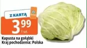 Kapusta na gołąbki