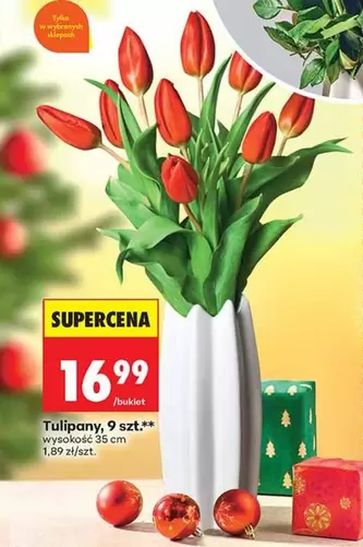 Tulipany