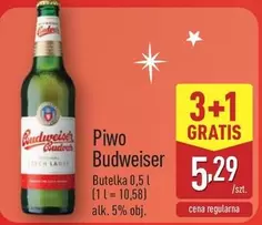 Piwo Budweiser