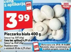 Pieczarka biała