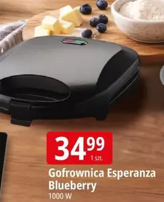 Gofrownica Blueberry