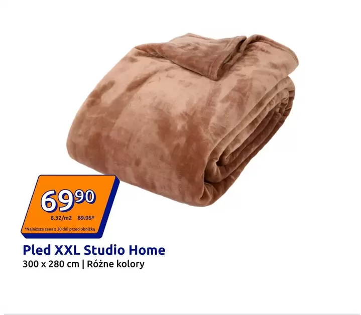 Pled XXL Studio Home