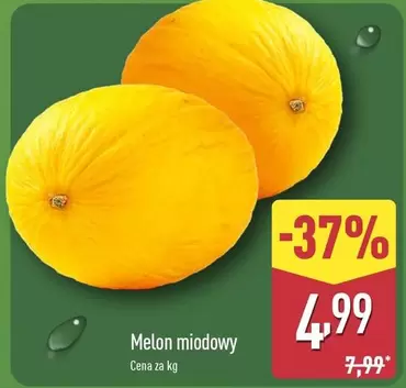 Melon miodowy