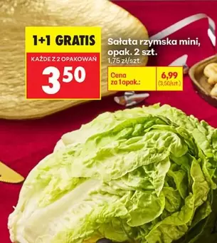 Mini - Sałata rzymska mini