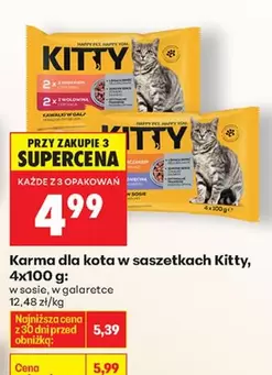Karma dla kota w saszetkach Kitty