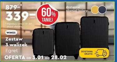 Zestaw 3 walizek Egret