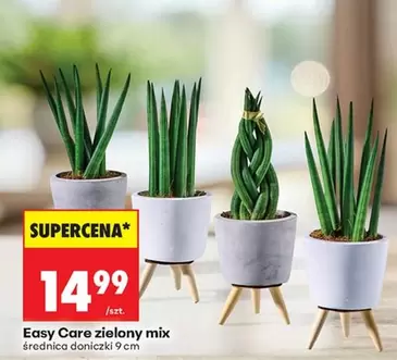 Mix - Easy Care zielony mix