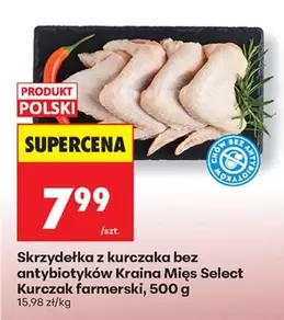 Skrzydełka z kurczaka bez antybiotyków Kurczak farmerski
