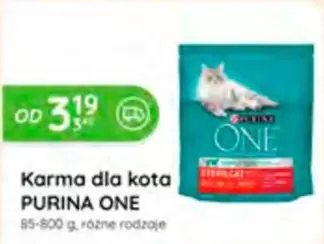 One - Karma dla kota