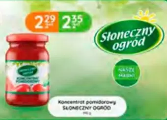 Koncentrat Pomidorowy