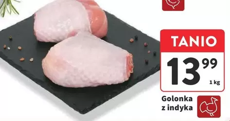 GOLONKA z indyka