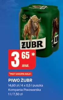 PIWO ZUBR