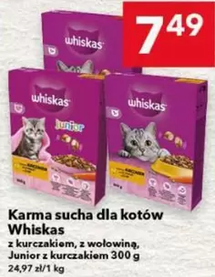 Karma sucha dla kotów