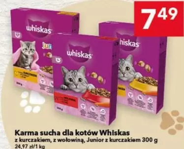 Karma sucha dla kotów