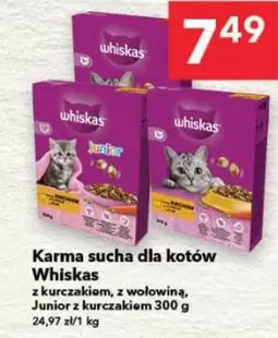 Karma sucha dla kotów