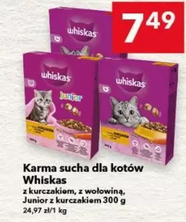 Karma sucha dla kotów