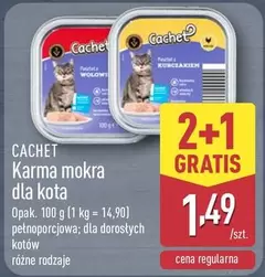 Karma mokra dla kota