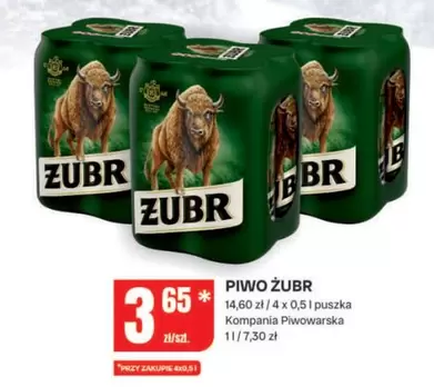 PIWO ŻUBR