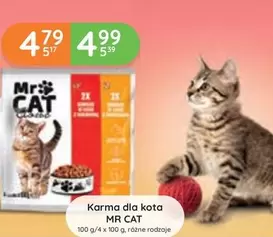 Cat - Karma dla kota