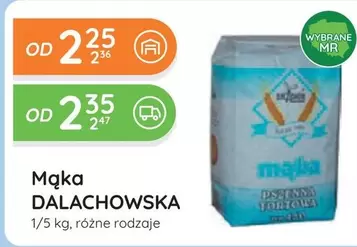 Mąka DALACHOWSKA