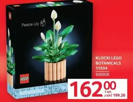 Lego - KLOCKI LEGO BOTANICALS 11504 668808