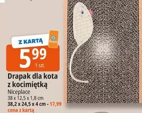 Drapak dla kota z kocimiętką