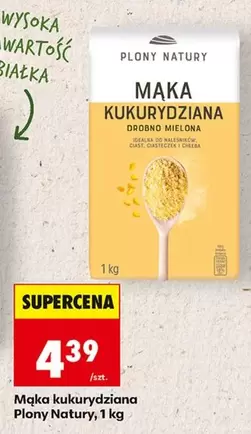 Mąka kukurydziana