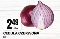 CEBULA CZERWONA