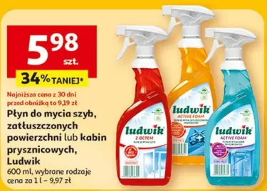 Płyn do mycia szyb, zatłuszczonych powierzchni lub kabin prysznicowych