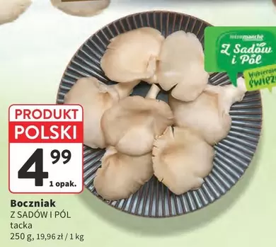 Boczniak Z SADÓW I PÓL