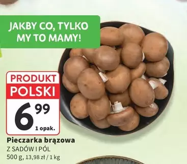 Pieczarka brązowa