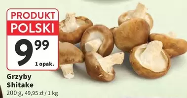 Grzyby Shitake