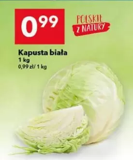 Kapusta biała