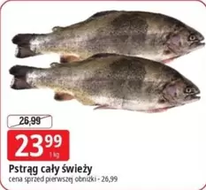 Pstrąg cały świeży